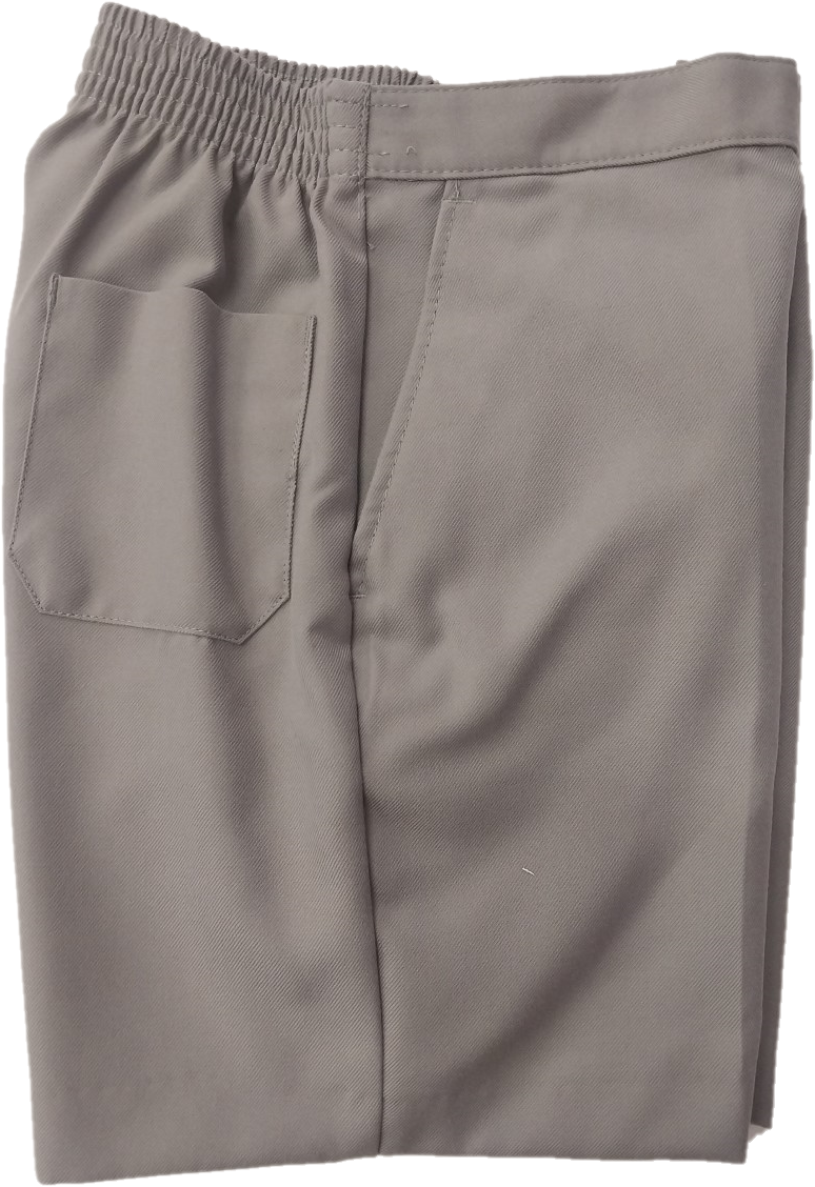 Aspiration College Uniform Shorts – schoolandleisure